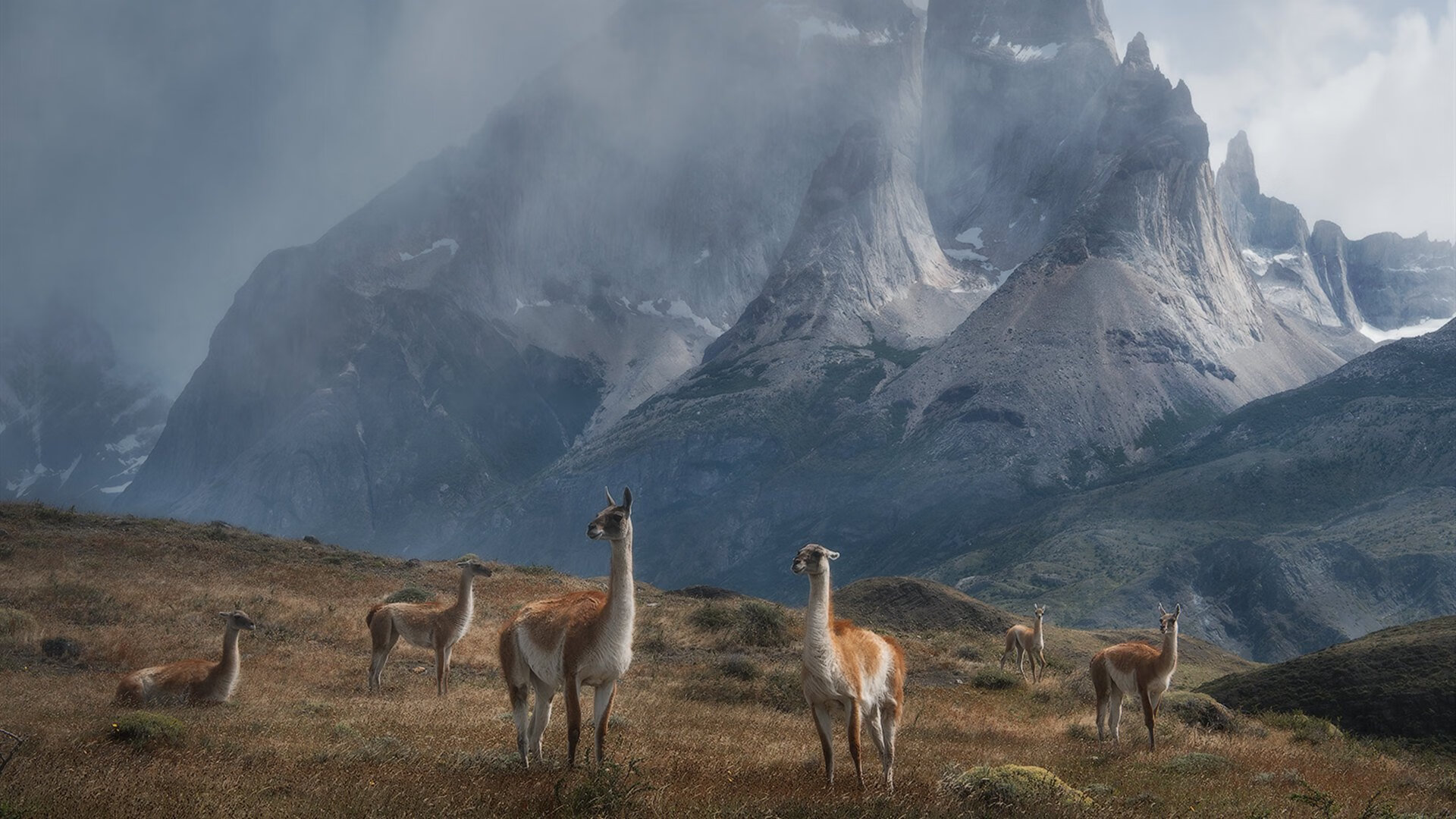 暗夜烽火，迪亚斯在排名血战中淬炼真金