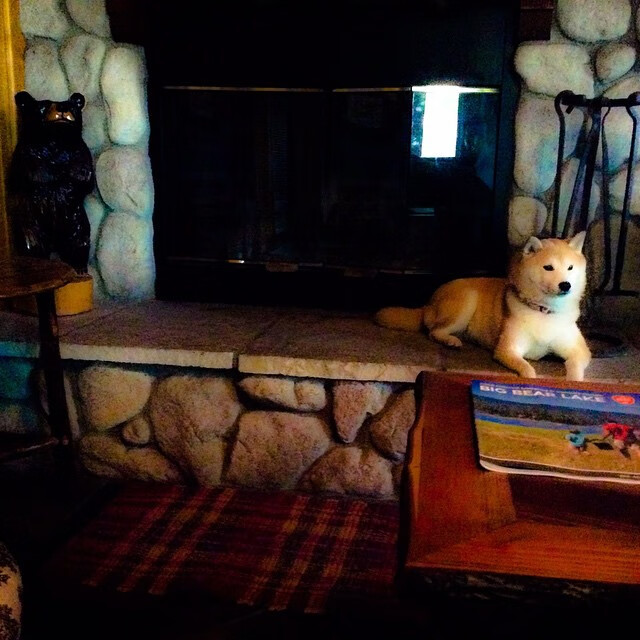 刃破铁幕，杜兰特49分风暴眼，广厦立体火网冰封辽宁卫冕路