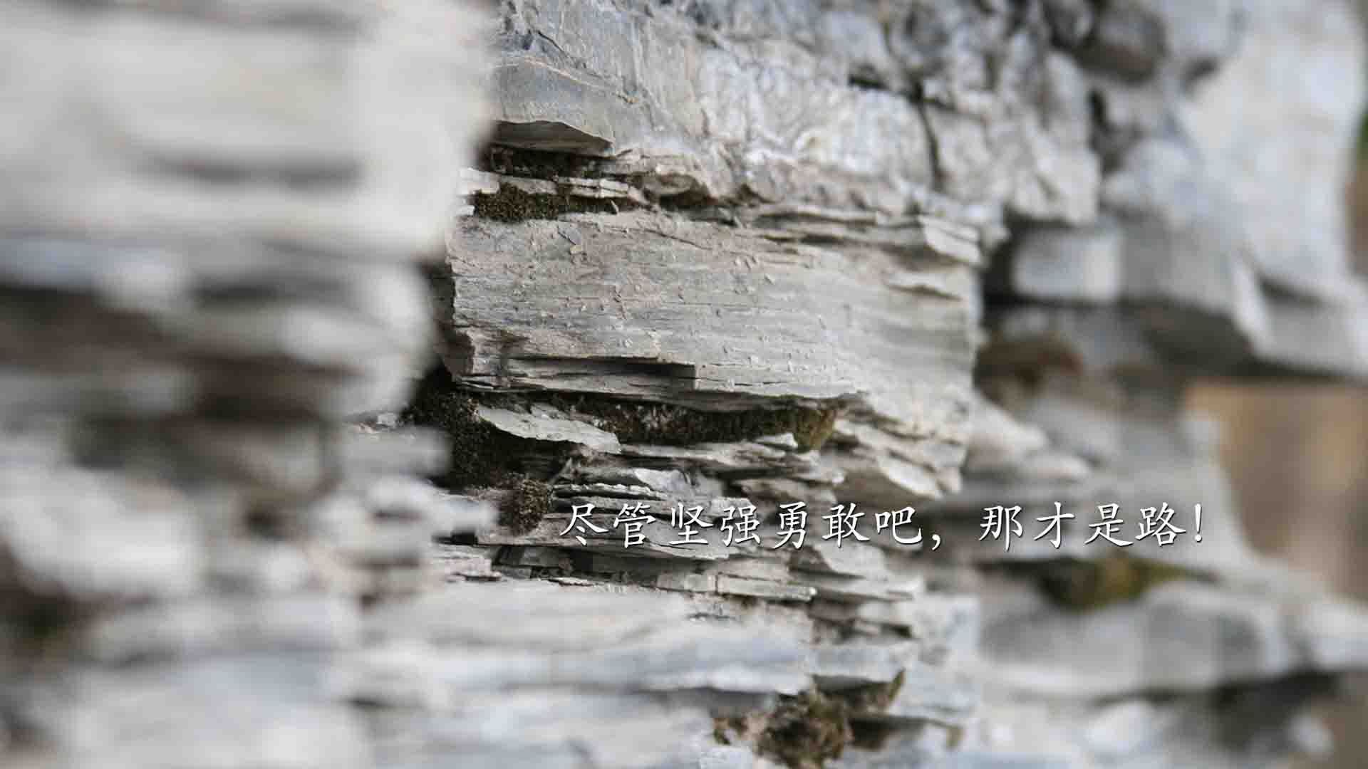 绿茵启示录，C罗的满分与西班牙的团队艺术