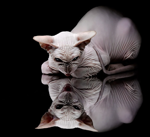 黄潜艇破浪前行，萨拉赫关键一役助比利亚雷亚尔强势攻克比利时