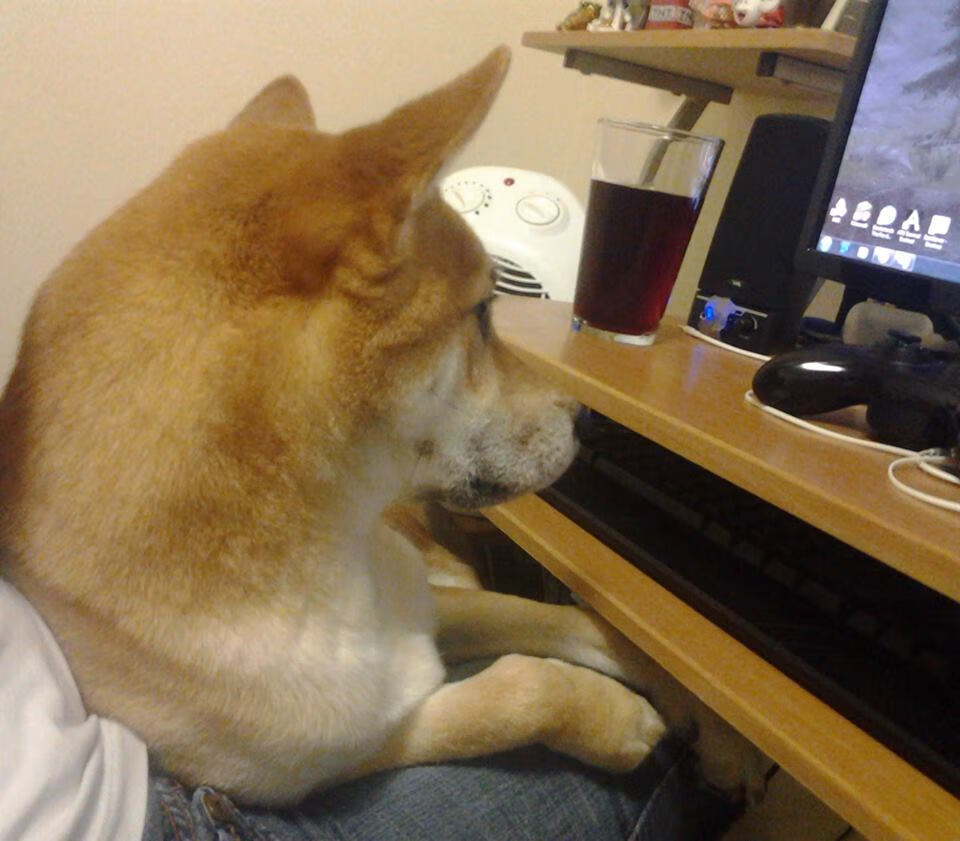 跨洲对决战火燃尽浦江，杜兰特关键先生本色定乾坤