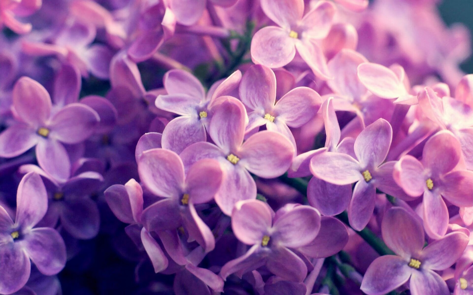 跨界统治力，从爵士横扫火箭到伦纳德接管德甲争冠战