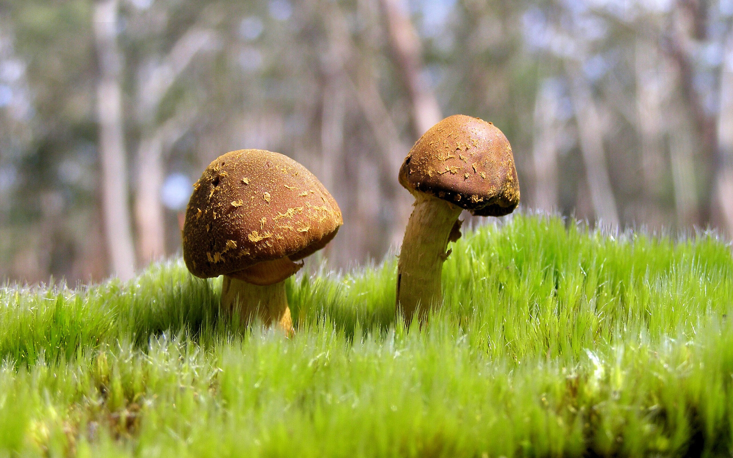 风暴眼克莱！广东小快灵战术肢解爵士防线