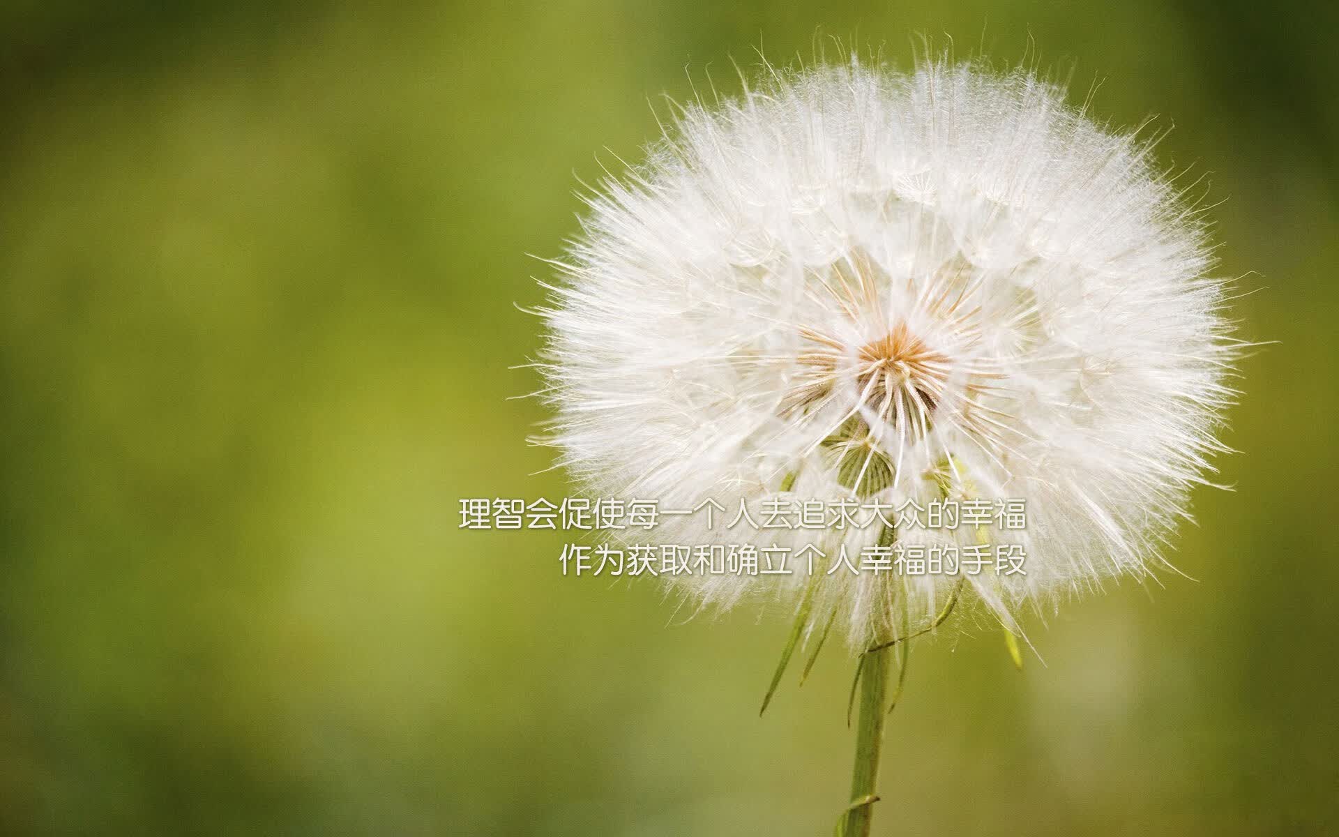 第一部分，扩展思维，构思文章标题