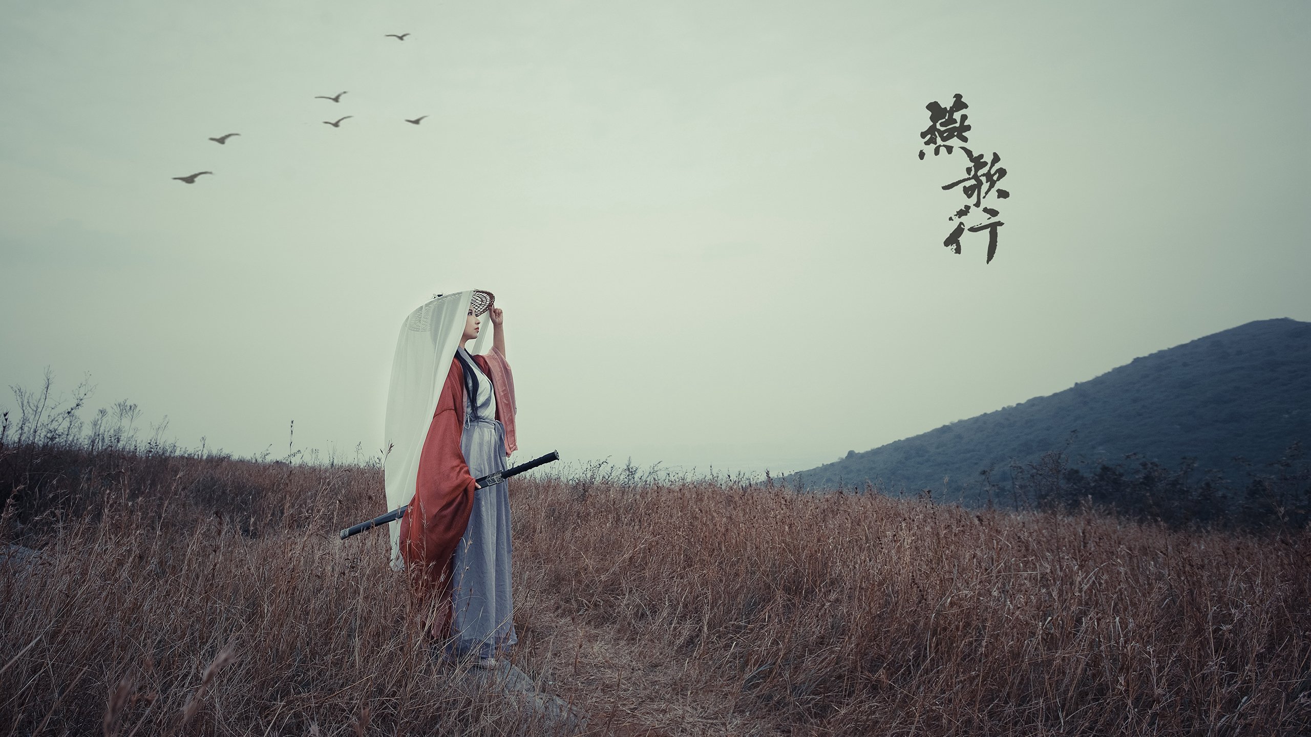 钢铁洪流碾碎北欧神话,哈兰德独木难支,尼日利亚如何用非典型胜利定义2026世界杯唯一性